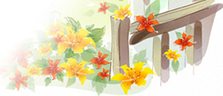 プラセンタの説明